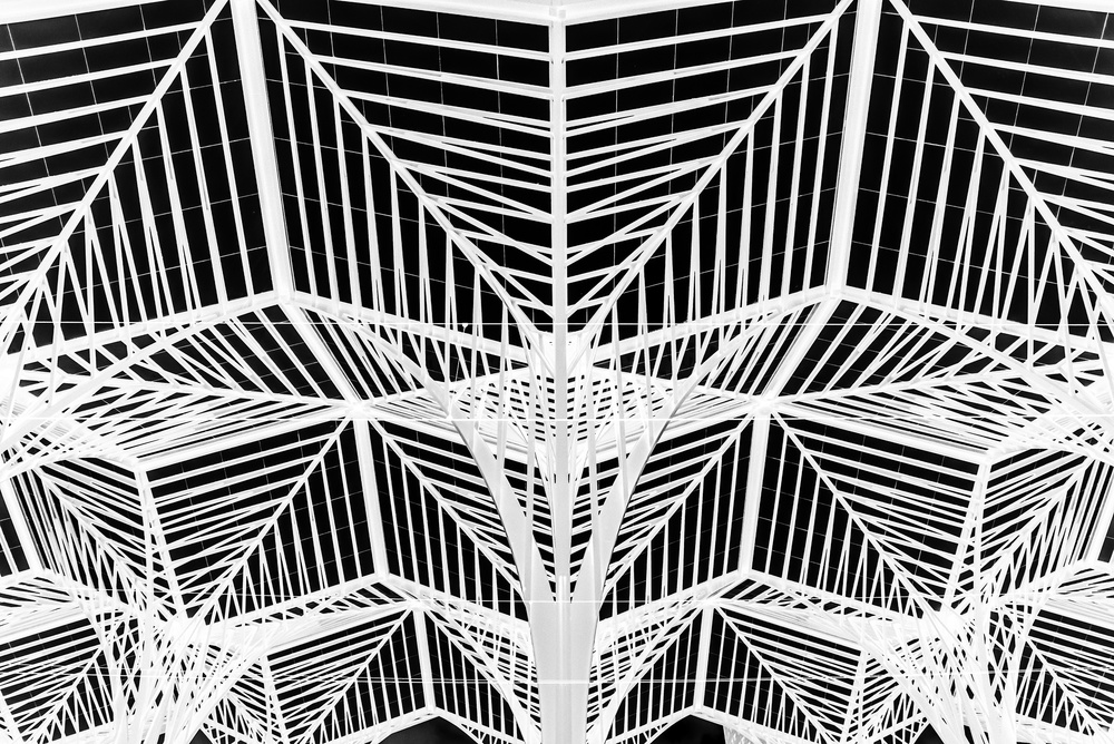 Geometric Canopy Ceiling by Linda Wride — canvas wall art
