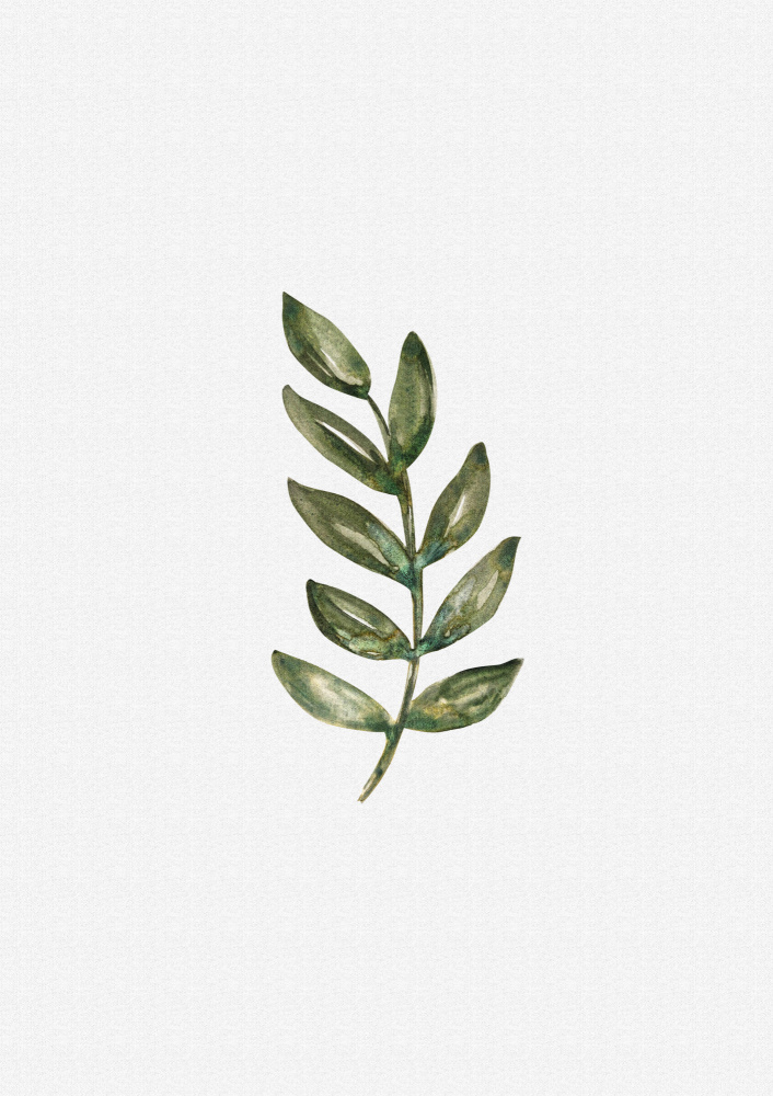 Green Botanical Branch by Olena Kovalova — canvas wall art