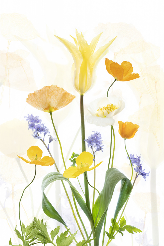 Vibrant Spring Bouquet by Sharon Williams — canvas wall art