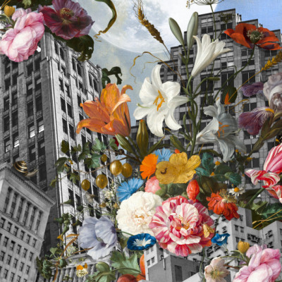 A Big City Still Life