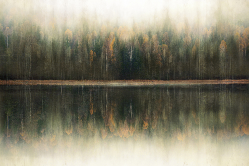 Misty Forest Reflection by Christina Sillen — canvas wall art