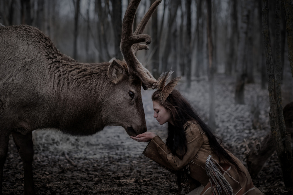 Woman Feeding Wild Deer by Olga Barantseva — canvas wall art