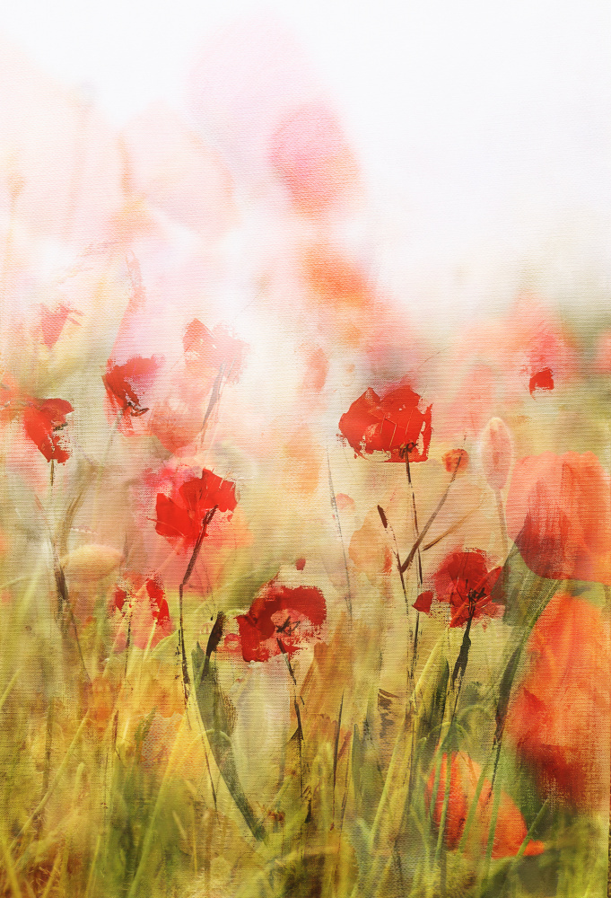 Dreamy Poppy Field by Ellen van Deelen — canvas wall art