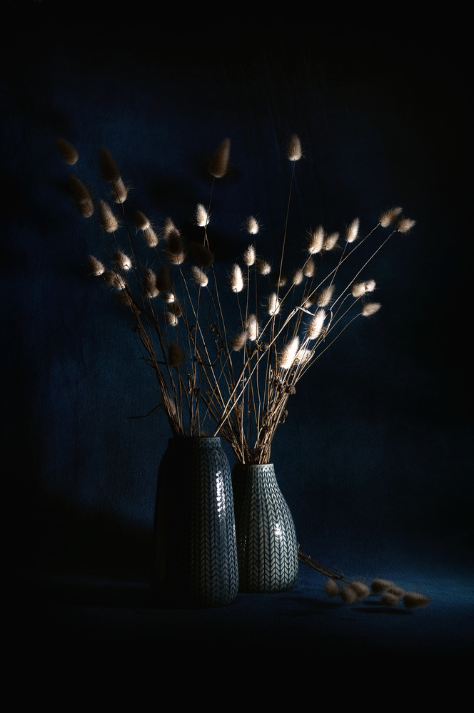 Dried Vases Still Life by Antonio Grambone — canvas wall art