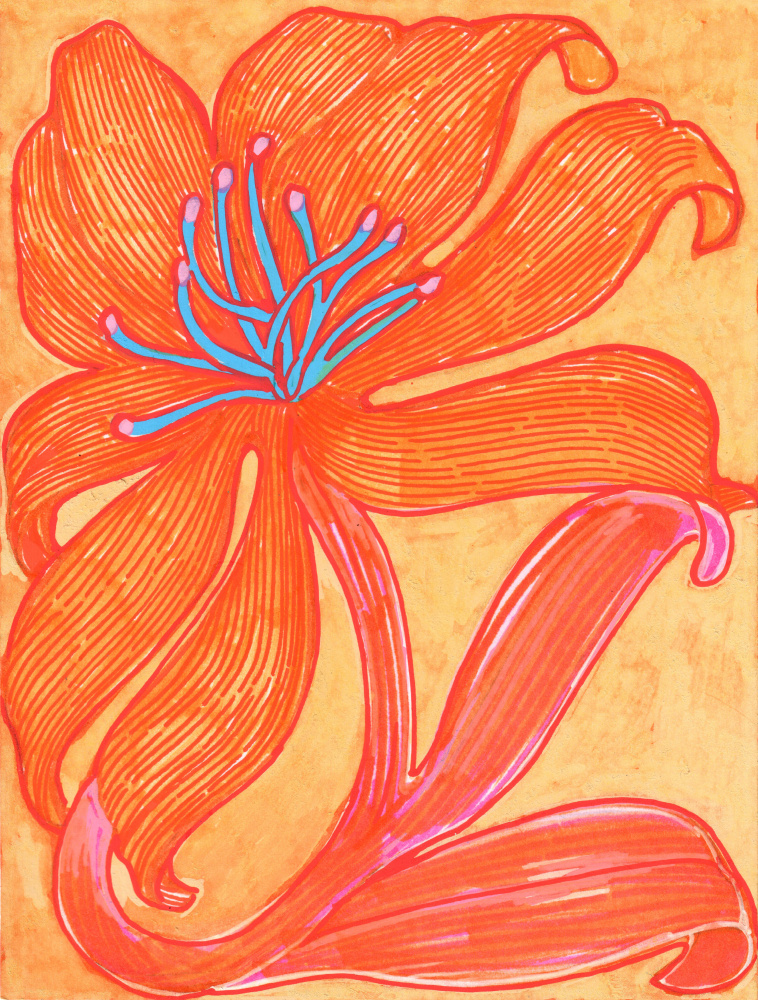 Vibrant Orange Lily by Katie O'Shea — canvas wall art