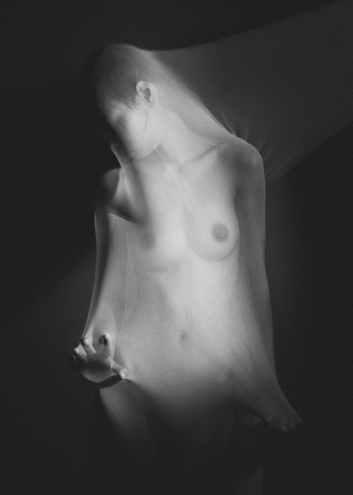 No.376 by ADIREK M — canvas wall art
