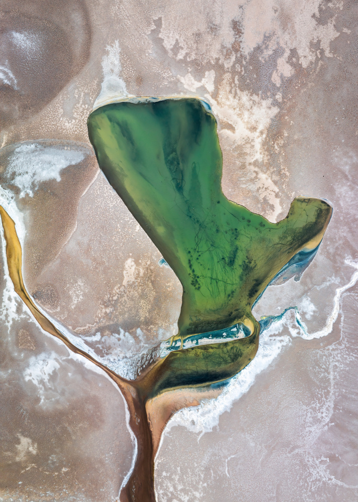 Aerial Green Earth by Shenshen Dou — canvas wall art