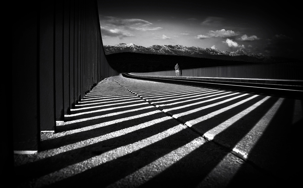 Lone Walker Long Shadows by Samanta Krivec — canvas wall art