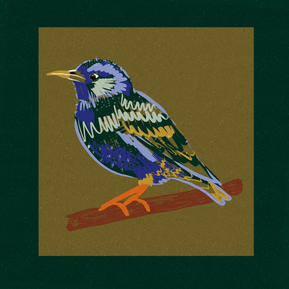 Vibrant Starling Perch by Alyssa Hamilton — canvas wall art