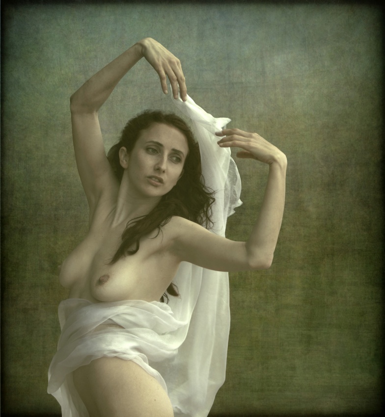 Beauty by Mel Brackstone — canvas wall art
