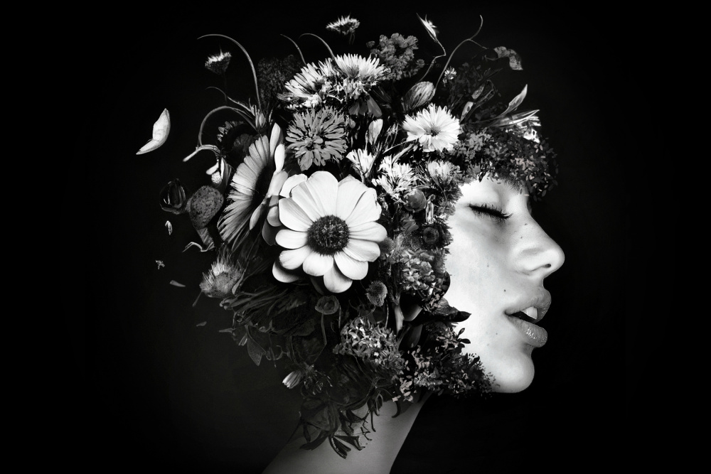 Serene Floral Beauty by Oren Hayman — canvas wall art