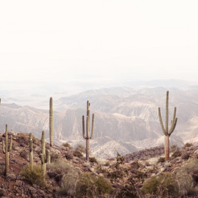 Arizona Valley