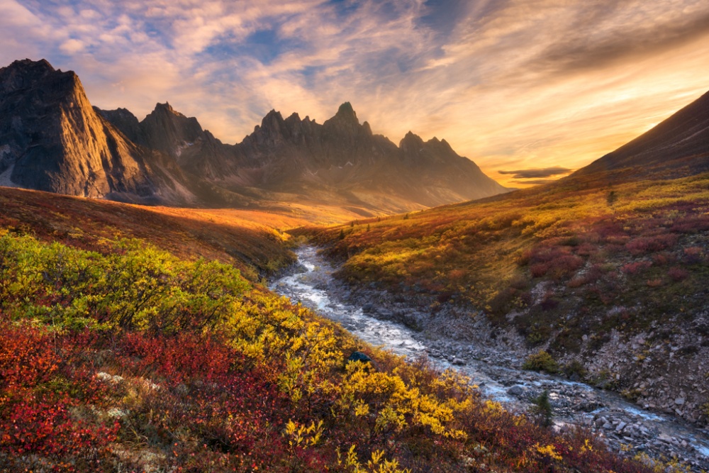 Golden River Valley by Chris Moore — canvas wall art