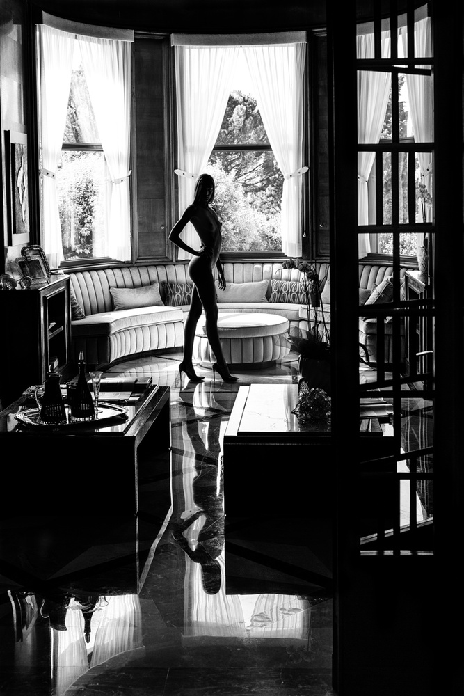 Elegant Nude Silhouette by Fabrizio Micheli — canvas wall art