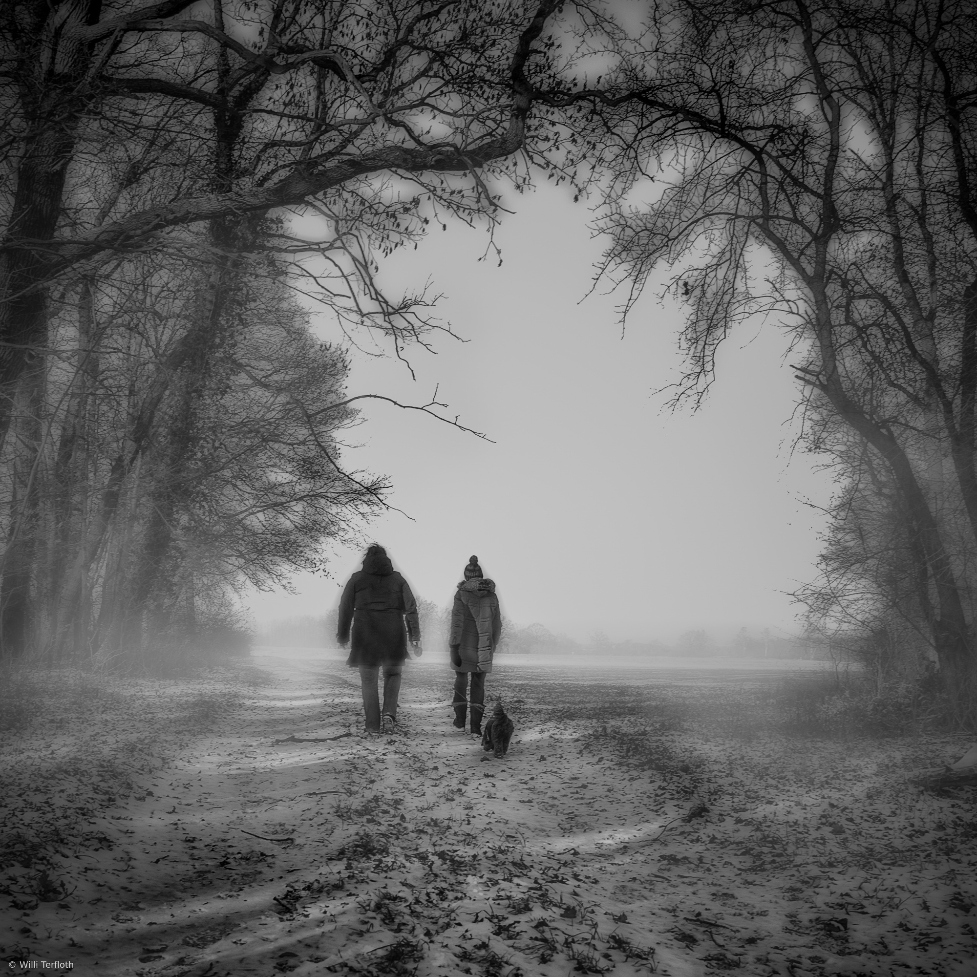 Foggy morning walk