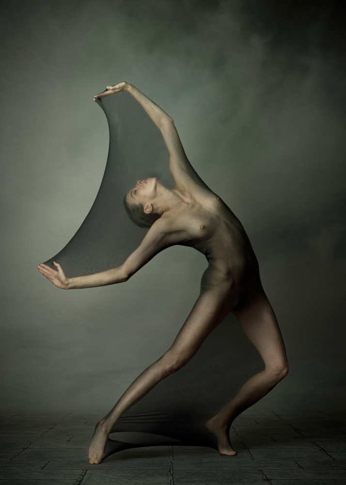 Sheer Grace by Michael Schnabl — canvas wall art