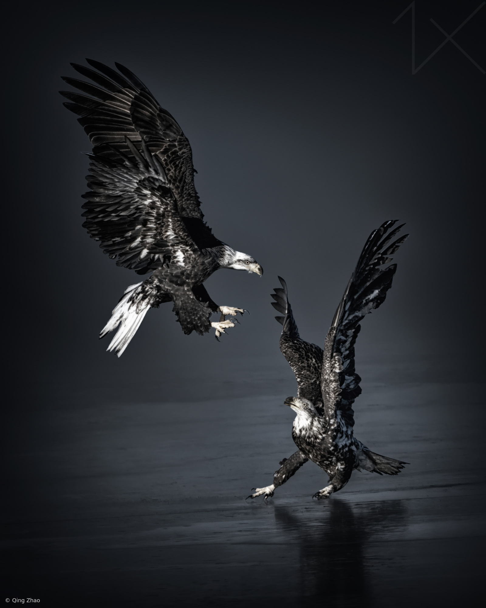 Clash of the Sovereigns