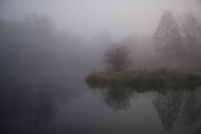 Foggy Reflections by Fernray