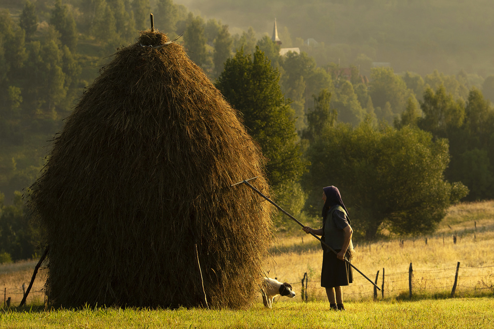 Rural Haystack Golden Light by Vlad Dumitrescu — canvas wall art