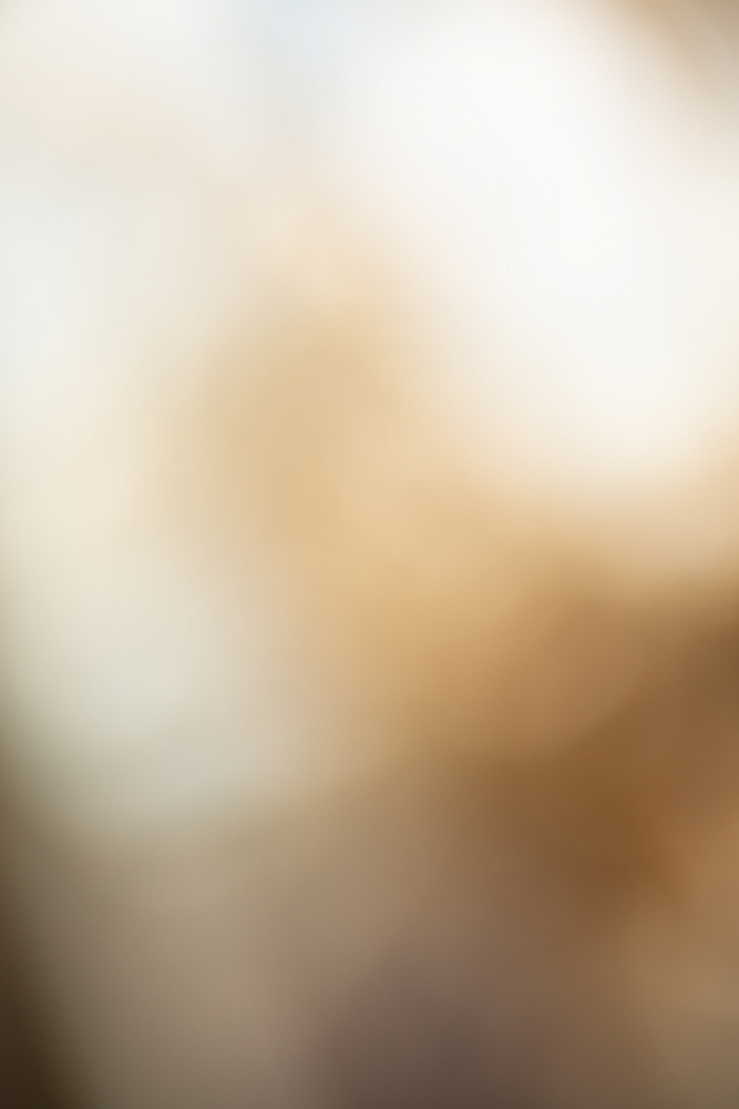 Blurred 10 by Mareike Böhmer — canvas wall art