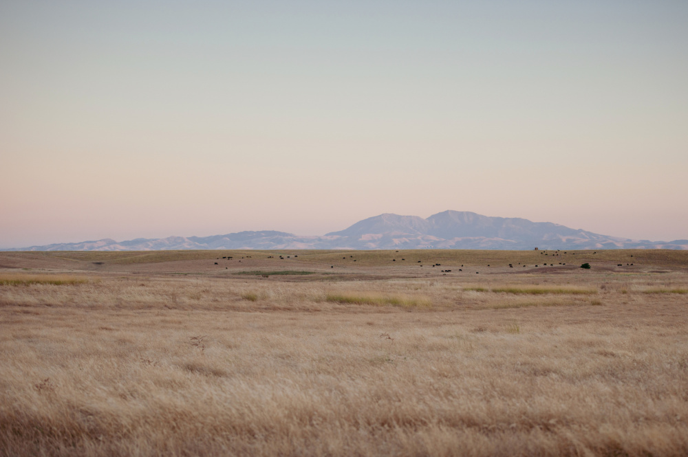 Golden Plains and Mountains by Crystal Lynn Collins — canvas wall art