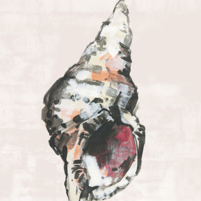 Shell Collector Art Print No 2