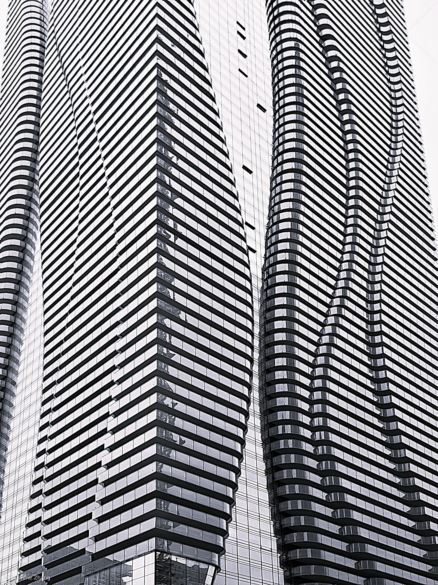 Glass Zebra