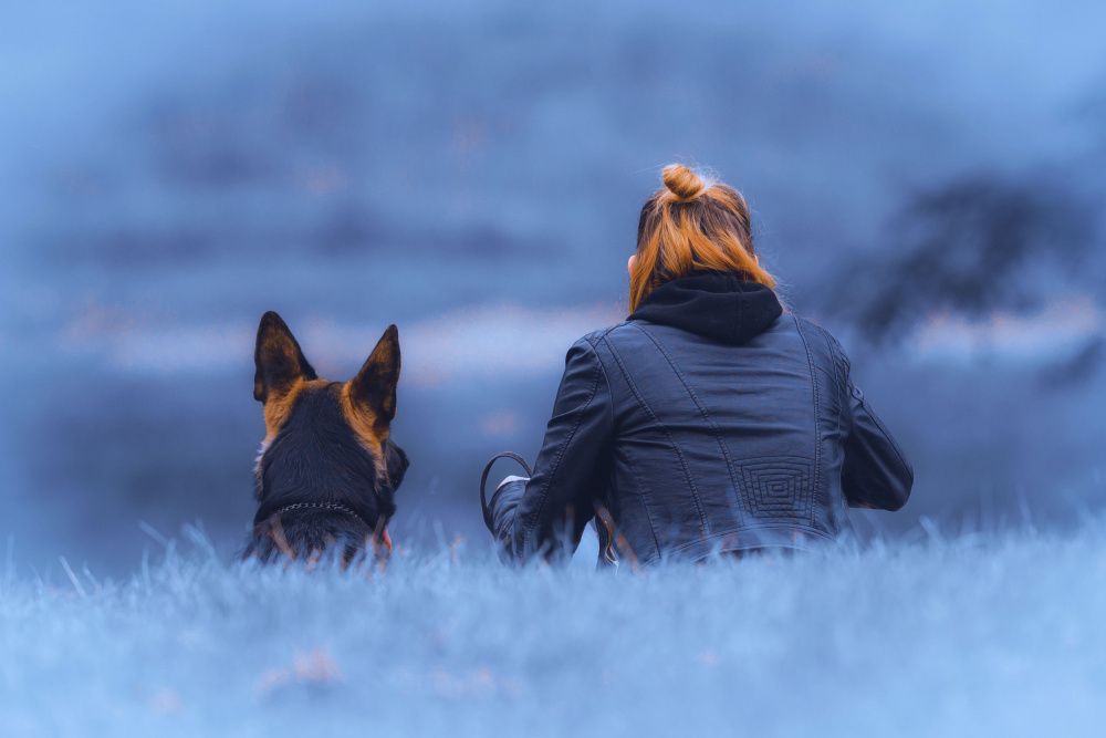 Woman Dog Serene View by Georgios Tsikiridis — canvas wall art