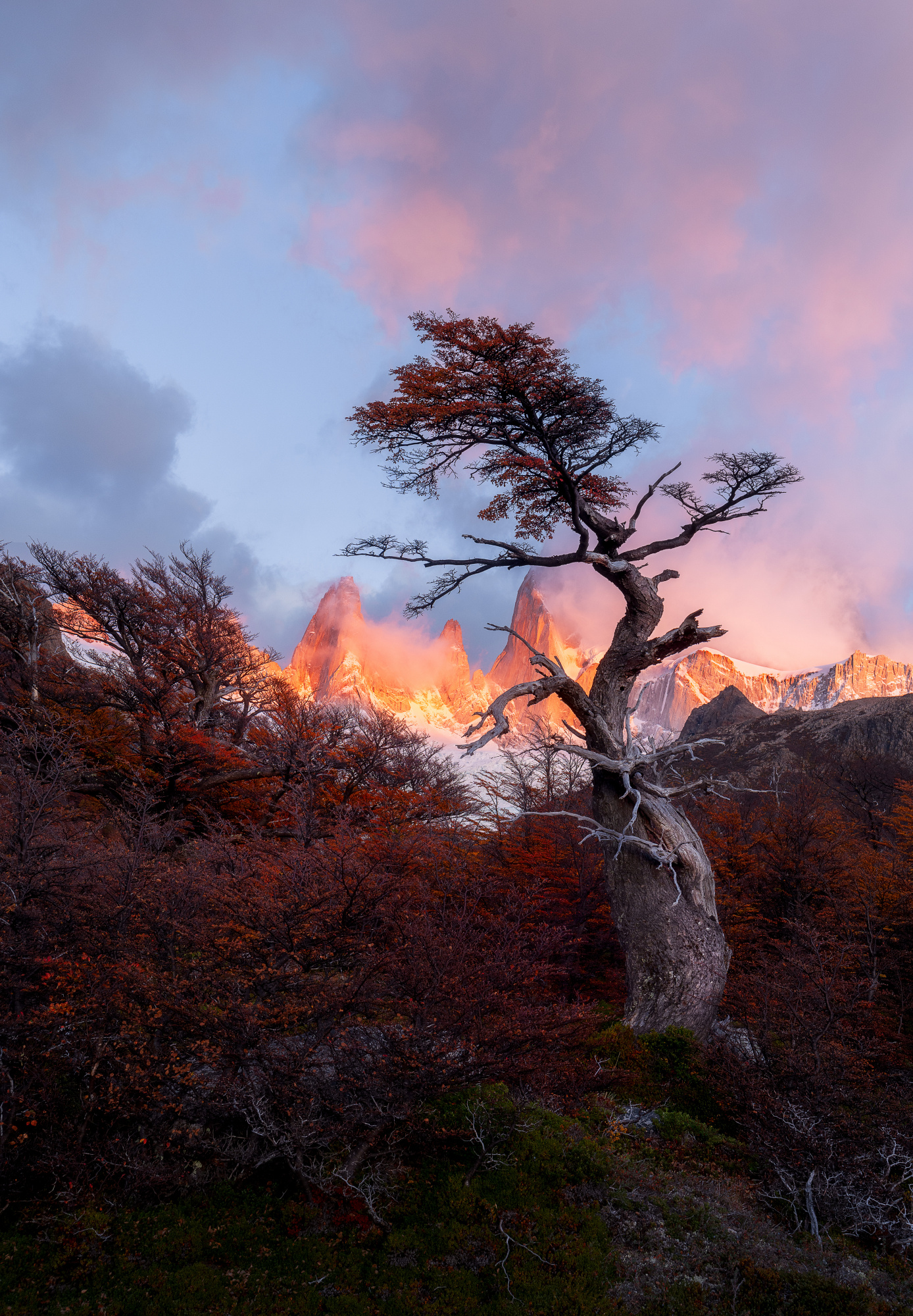 Solo dancing by LINGLING GUAN