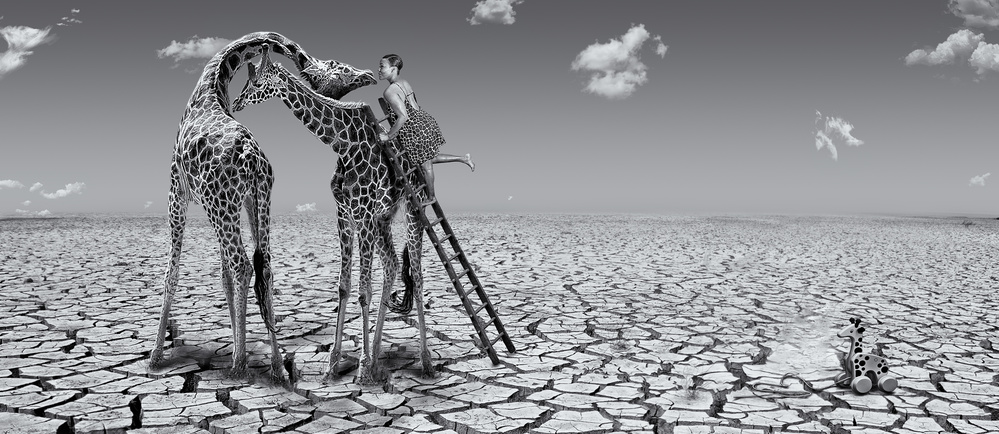 Child Feeding Giraffes Desert by ARUN MOHANRAJ — canvas wall art
