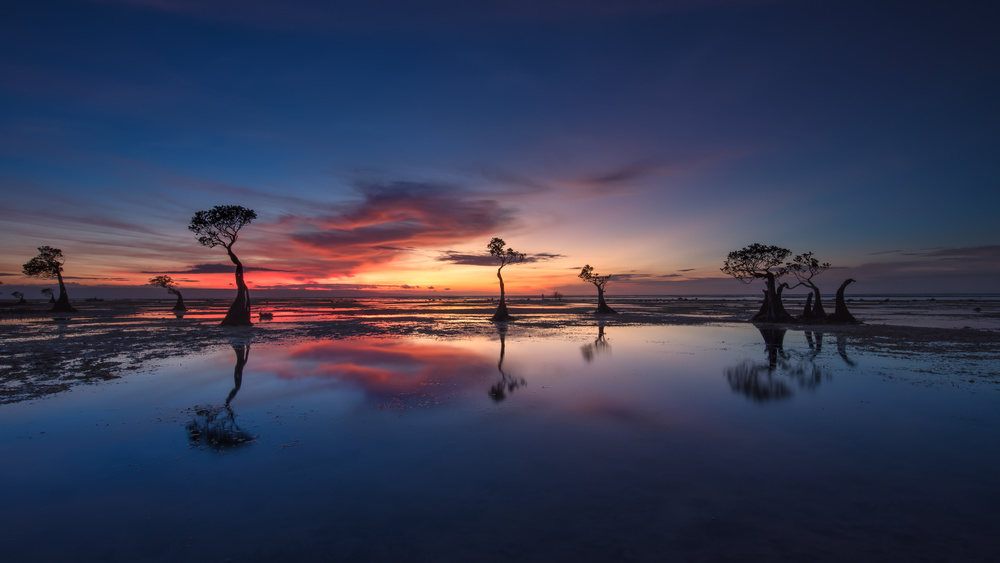 Sunset Mangrove Reflections by Gunarto Song — canvas wall art