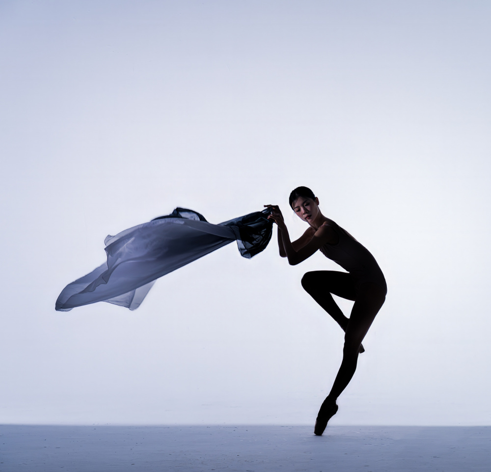 Ethereal Ballet Movement by Rae Zhang — canvas wall art