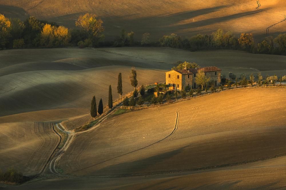 Tuscan Countryside Golden Hour by Clas Gustafson PRO — canvas wall art