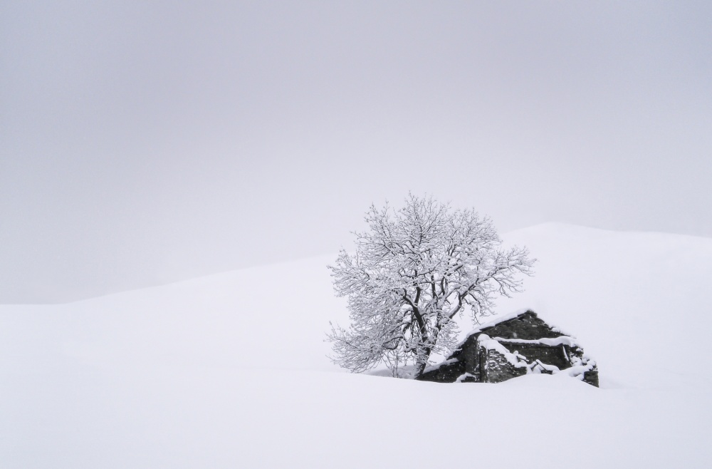 Snowy Tree and Hut by Giorgio Toniolo — canvas wall art