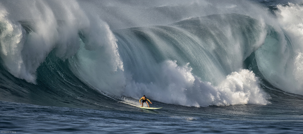 Surfer Rides Massive Wave by David H Yang — canvas wall art