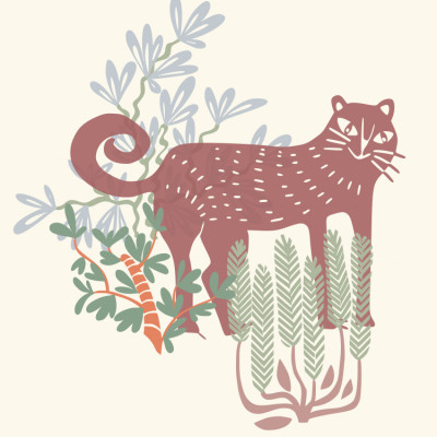 California Casual Cat