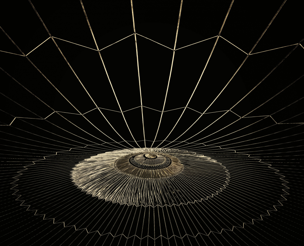 Golden Wireframe Perspective by Harry Verschelden — canvas wall art