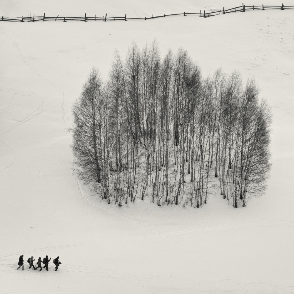 Winter Walk Through Snow by mihai ian nedelcu — canvas wall art