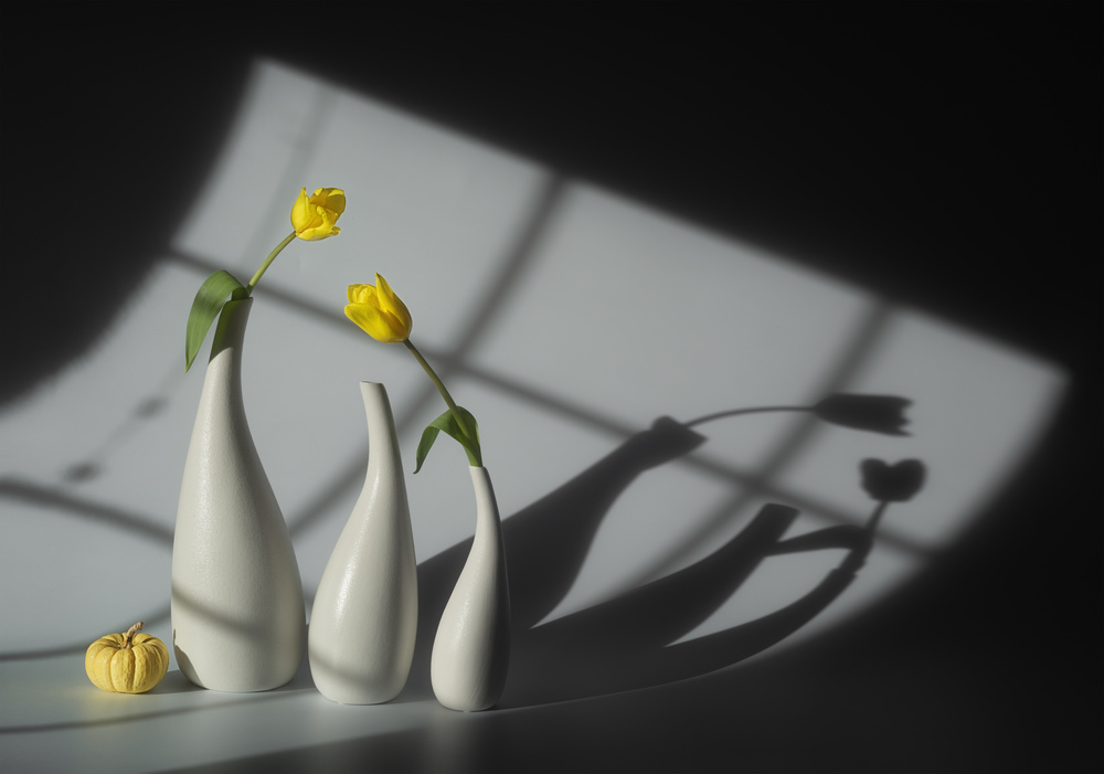 Sunlit Tulips and Shadows by Lydia Jacobs — canvas wall art