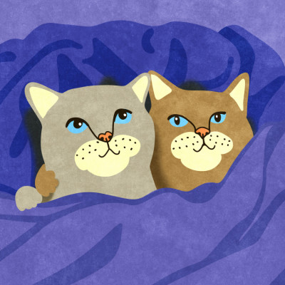 Cats in Bed