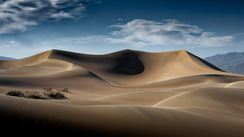 Golden Desert Dunes by Jay Marik — canvas wall art
