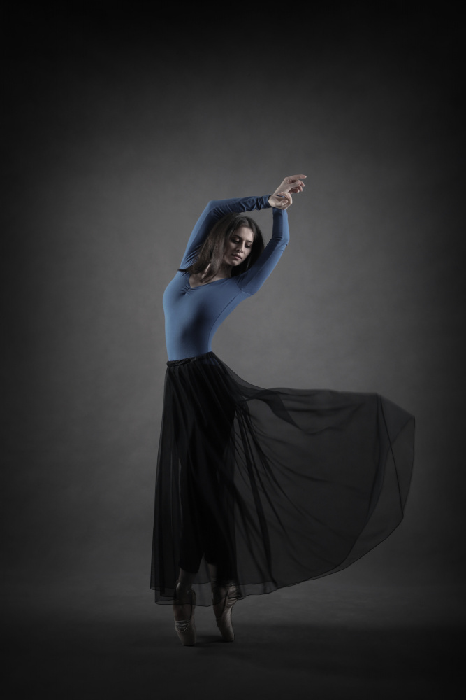 Graceful Ballet Pose by Moein Hasheminasab — canvas wall art