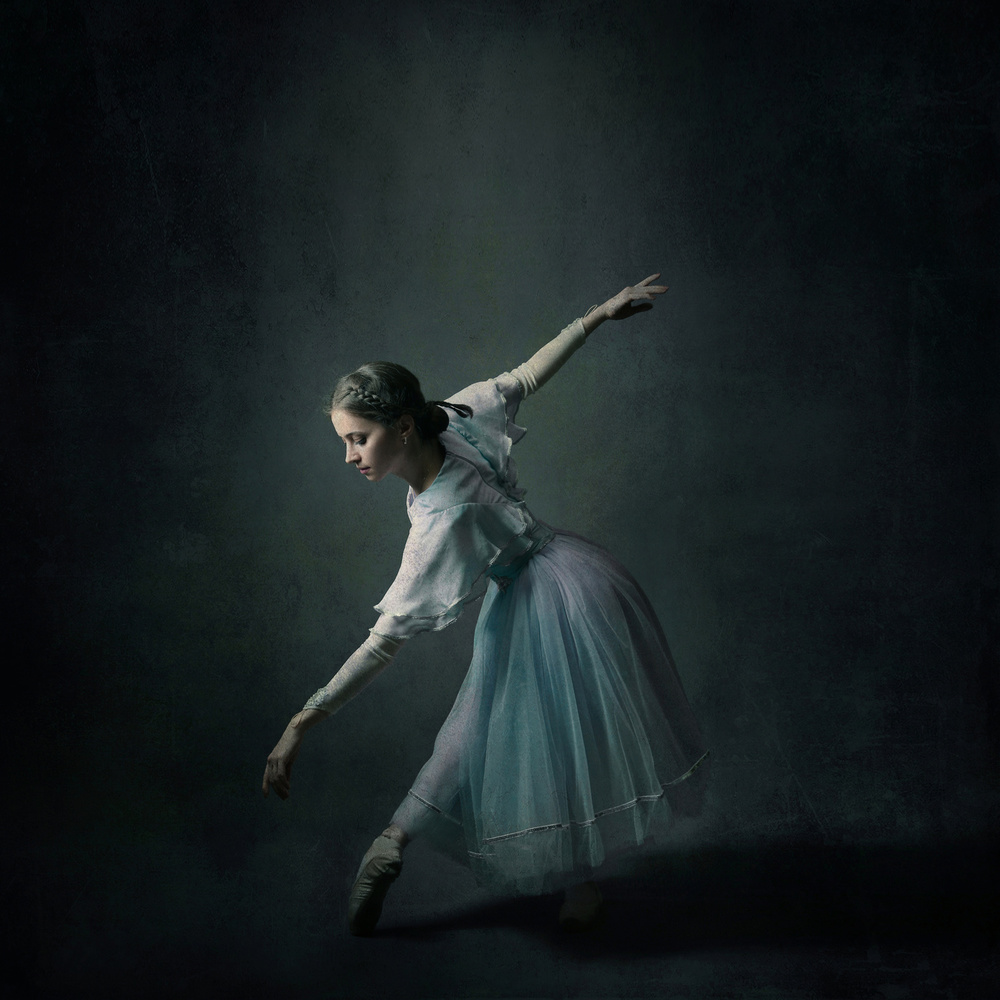 Graceful Ballet Dancer by Moein Hasheminasab — canvas wall art