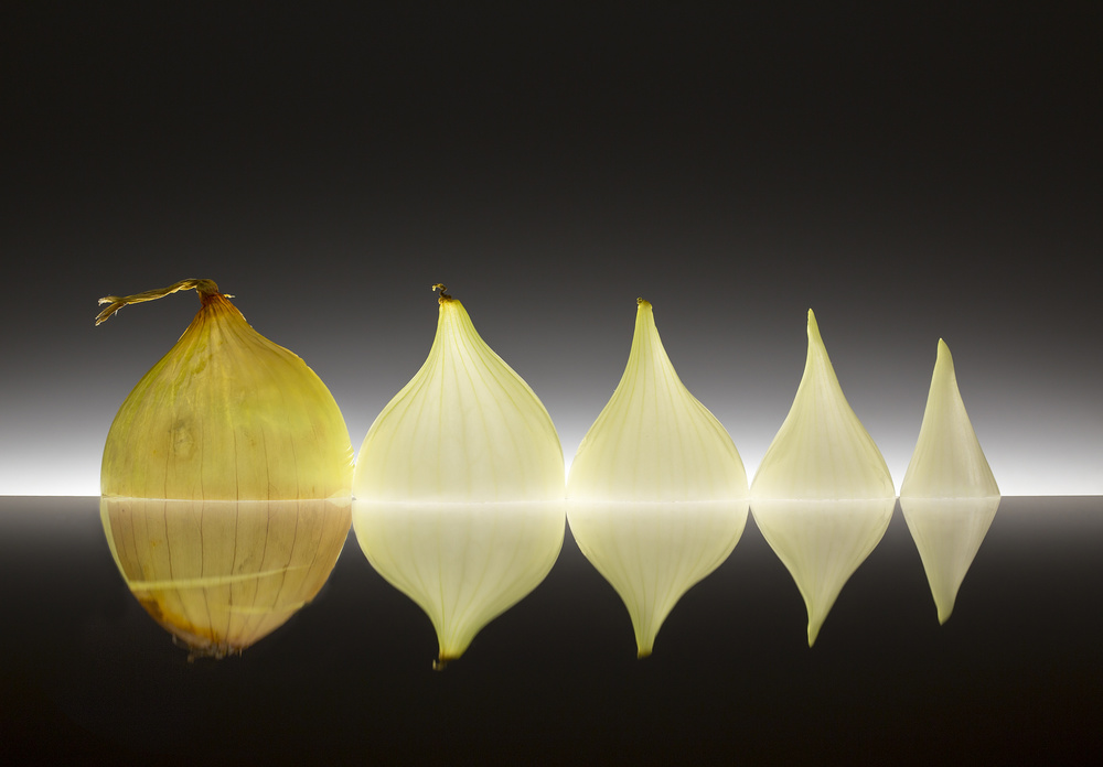 Abstract Onion Layers by Wieteke de Kogel — canvas wall art