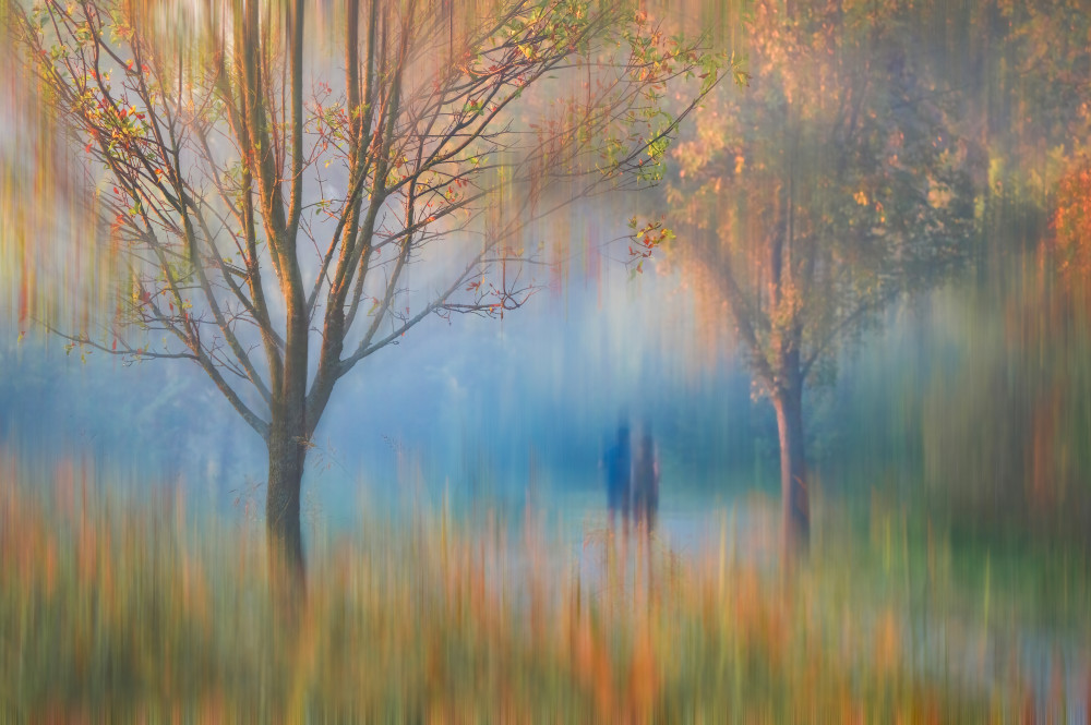 Autumn Dreamscape by Serena Duan — canvas wall art