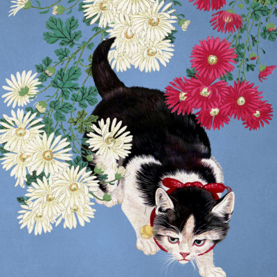 A Cat's Hunt for Butterflies