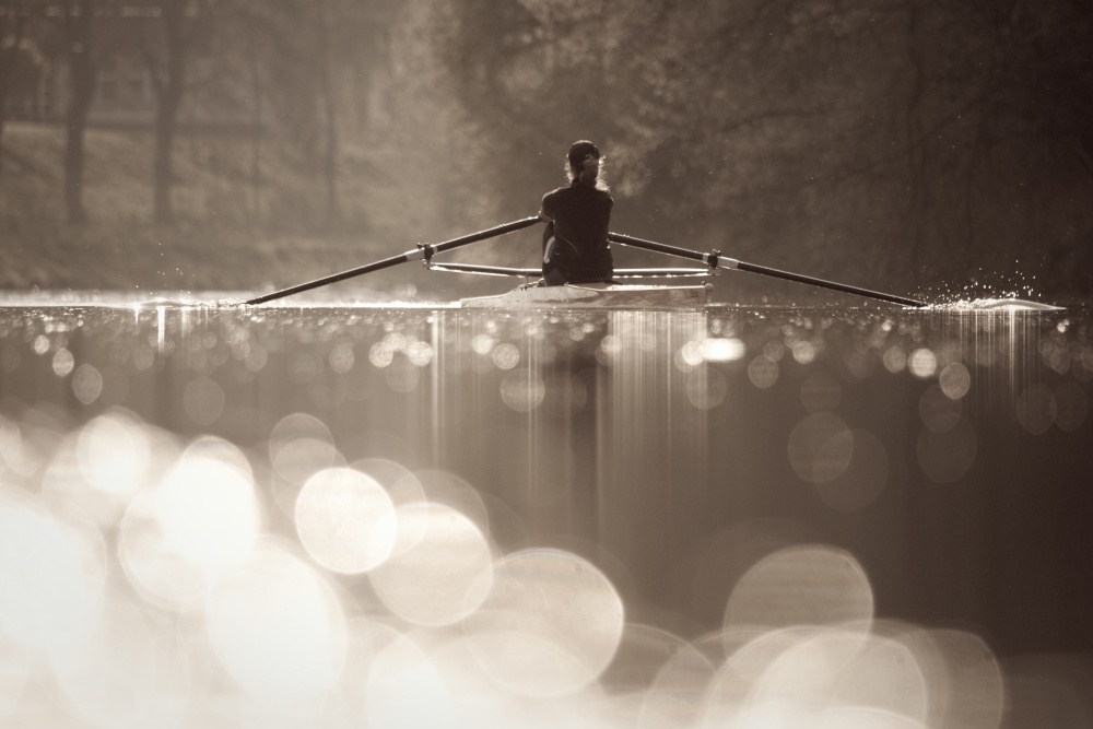 Morning Row on Calm Water by Robert Adamec — canvas wall art