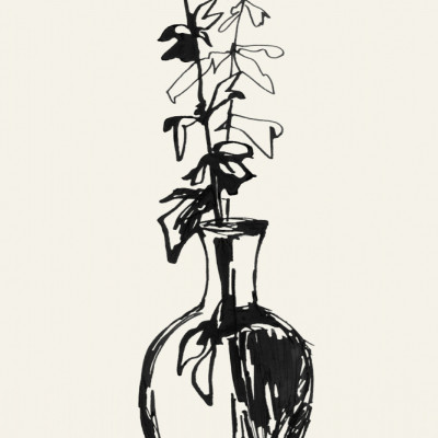 Leaves in a vase ink sketch