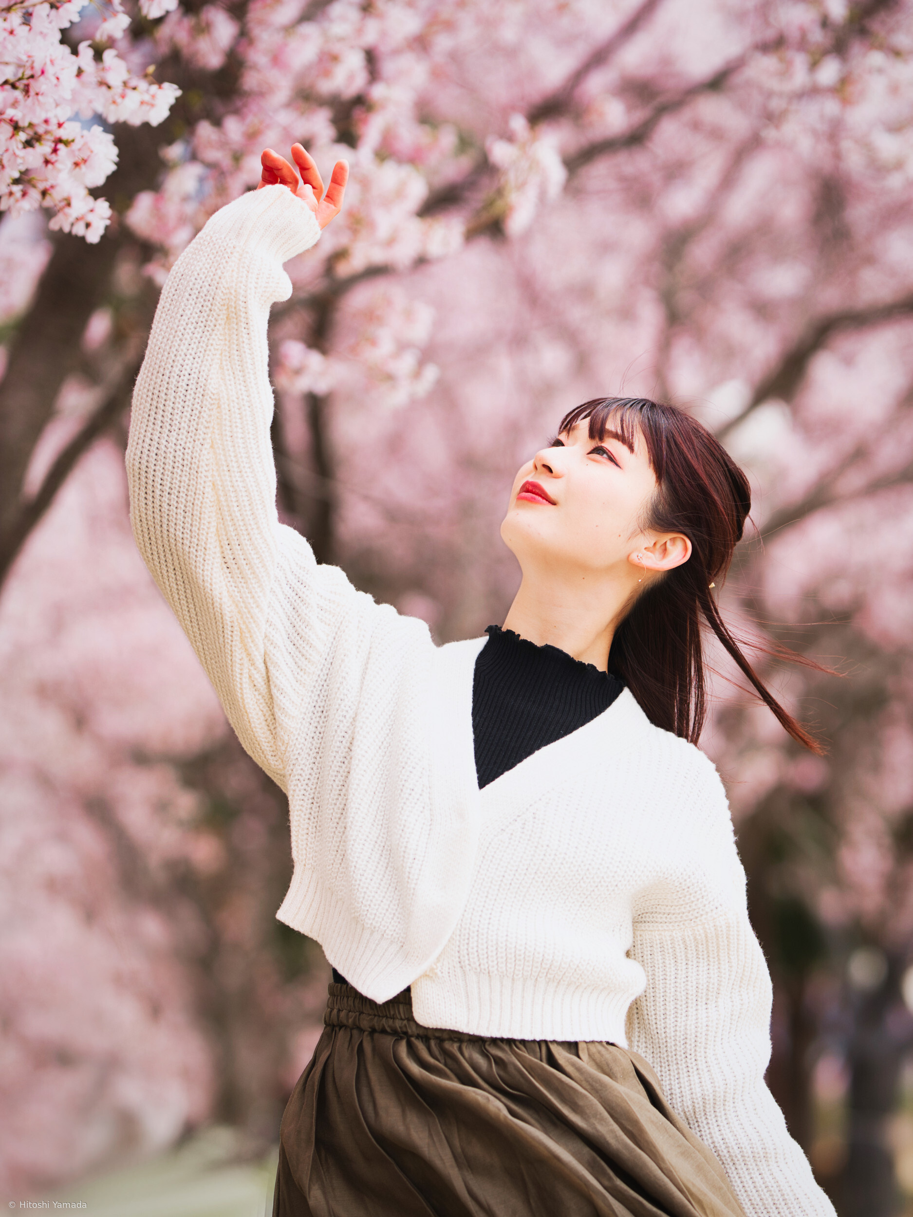 The feeling of wanting to touch 〜Cherry Blossoms〜