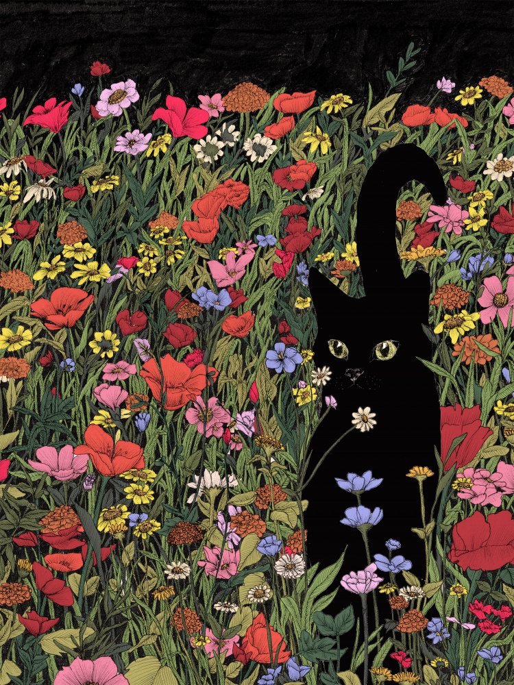 Black Cat Flower Field by EC Mazur — canvas wall art